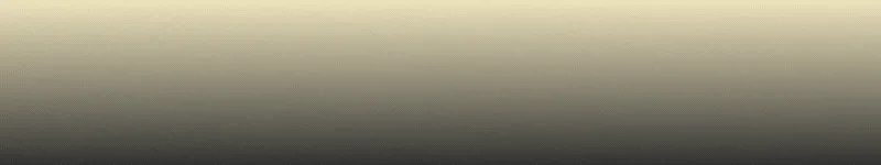 spot_img