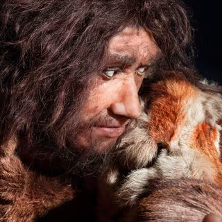 L’évolution humaine s’est-elle arrêtée ? La réponse va vous surprendre 3 Une région génétique héritée de Néandertal augmente le risque de faire une forme grave de la Covid-19. © procy_ab, Adobe Stock