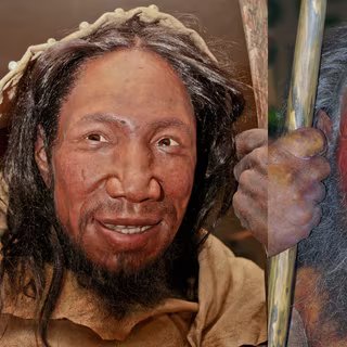 Représentation des visages de l’Homo sapiens (à gauche) et de l’Homo neanderthalensis (à droite). © Daniela Hitzemann et Stefan Scheer, Creative Commons 4.0