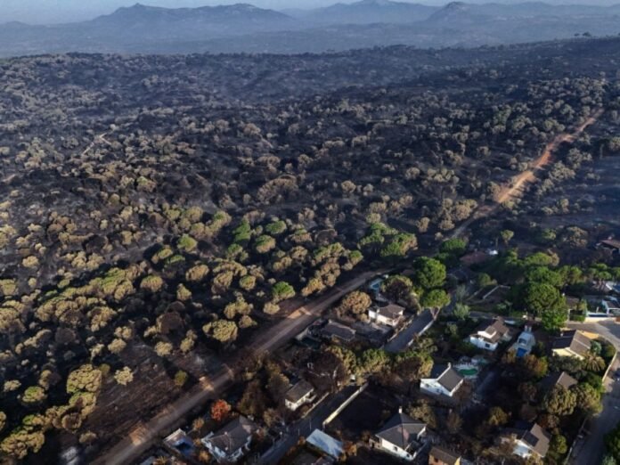 De "l'enfer" des incendies, l'Europe peine à se relever