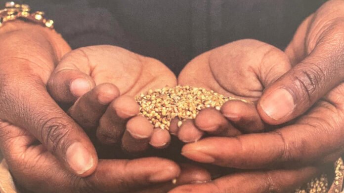 Et si un simple grain d’Afrique suffisait à transformer votre quotidien? Et si un simple grain d’Afrique suffisait à transformer votre quotidien?