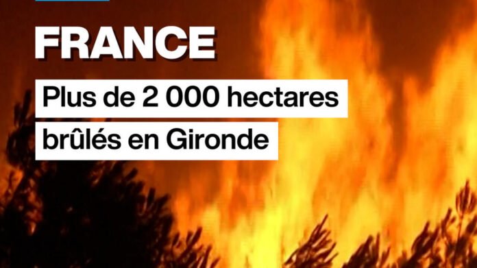 France : plus de 2 000 hectares brûlés en Gironde France : plus de 2 000 hectares brûlés en Gironde