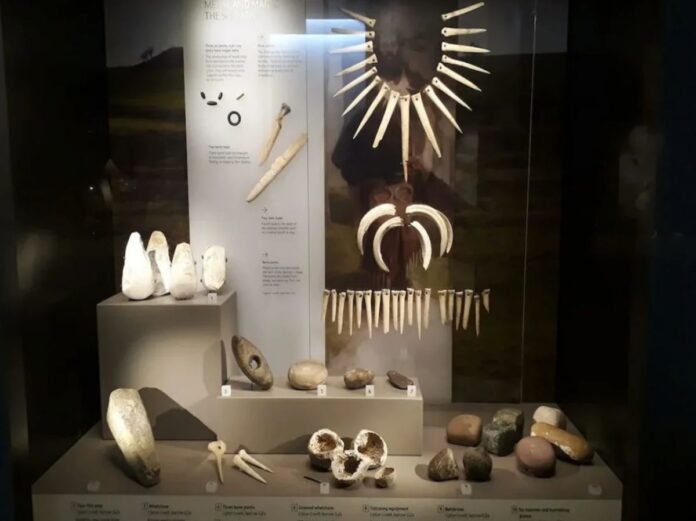 Le “chamane de Stonehenge“ n'était pas celui auquel on pensait Le “chamane de Stonehenge“ n'était pas celui auquel on pensait