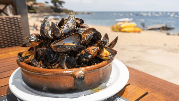 Quels sont les bienfaits des moules ? Quels sont les bienfaits des moules ?
