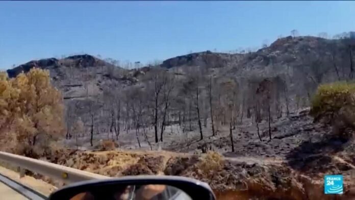 Sanchez au chevet des secours mobilisés face au feu en Andalousie, particulièrement meurtrier