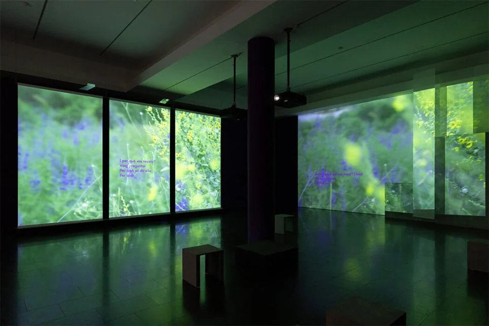 Exposition « Basel Abbas and Ruanne Abou-Rahme. Prisoners of love. Until the sun of freedom » au MACBA de Barcelone