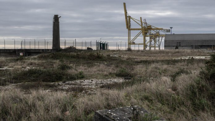 En Gironde, le projet contesté de mégaferme à saumons autorisé par la préfecture