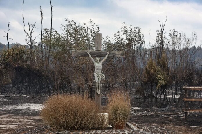 Incendies en France : « Ce n’est pas Dieu qui envoie un malheur, c’est notre logique destructrice qui se poursuit »