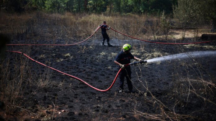 Incendies, menaces du FLNC contre les non-Corses, canicule : les infos