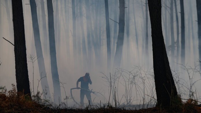 « La volonté de pointer du doigt des coupables » : les incendies, un terreau fertile pour les théories complotistes