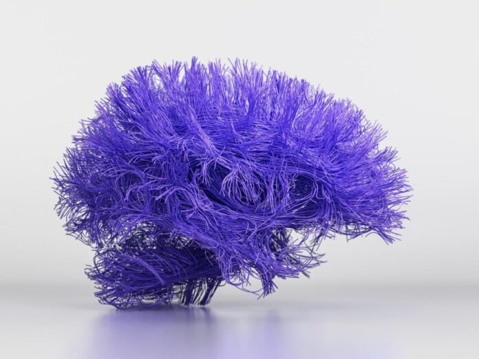 L’autisme se caractérise en partie par une hyperexcitabilité neuronale, qui est normalisée avec le traitement.