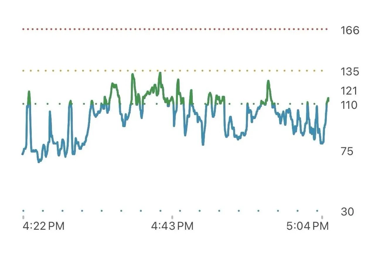 fitbitstrength